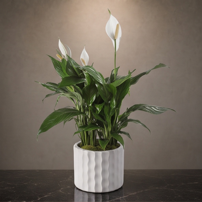 Verdant Calm flower arrangement by Flora Faves